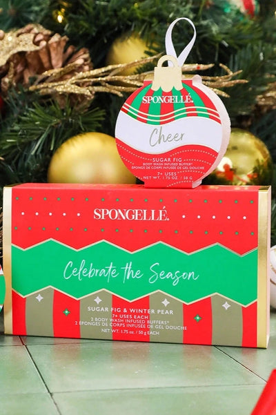 Celebrate the Season Holiday Ornament Gift Set