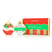 Celebrate the Season Holiday Ornament Gift Set